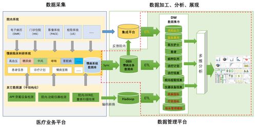 亿信华辰 领航大数据分析，赋能企业数据治理与商业智能新纪元